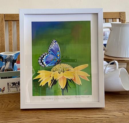 Blue Butterfly on the Big Yellow 