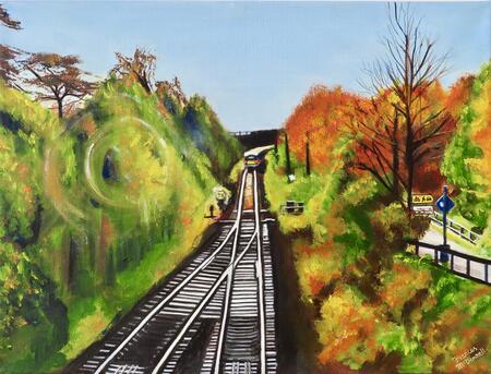 The Sligo train-leaving Enfield station