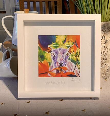 Here’s Lookin at Ewe