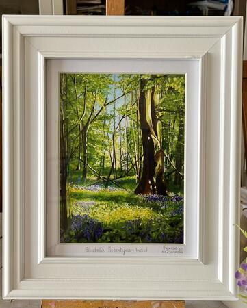 Bluebells Tobertynan Wood