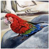 Who’s a pretty boy?!