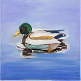 Stephen’s Green Duck 2