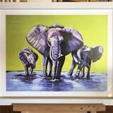 Elephants-A Trio