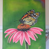 Red Admiral on the big pink