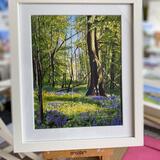 Bluebells Tobertynan Wood
