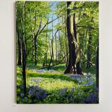 Bluebells Tobertynan Wood 