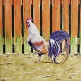 Cullentra Rooster 