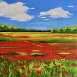 Poppy Fields 