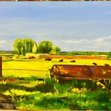 Ardenew Graveyard View