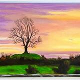 Cloncurry Tree Remembered