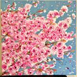 Cherry Blossom 
