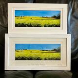 Oil Field Yellow Rathcore