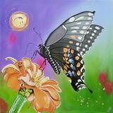 Butterfly Dreams
