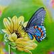 Butterfly Days