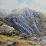 Darwin's  Boulders Cwm Idwal