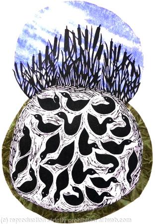 DUCK POND, BULLRUSHES BLUE SKY 