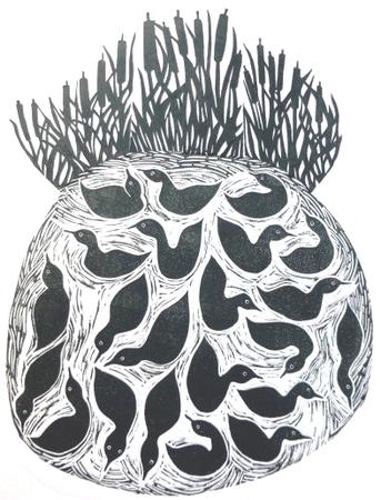 DUCK POND    BULLRUSHES