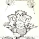 PUDDINGS IN A PANIC - FIRE AND ICE  Book Illustration