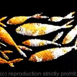 FISHLINE  # 4 - Multi metal leaf on black