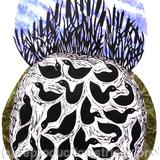 DUCK POND, BULLRUSHES BLUE SKY 