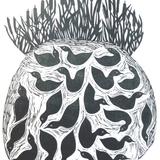 DUCK POND    BULLRUSHES