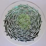 SHIMMERING FISHES (Greens)