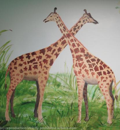 giraffes