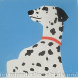 spottydog