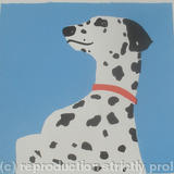 spotty dog