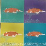 Ginger's Colour Experiments