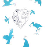 Peace Through Diversity