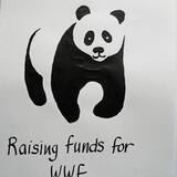 WWF fundraiser